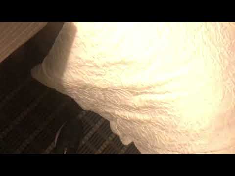 HOTEL ROOM TOUR: Hampton Inn & Suites Albuquerque Airport