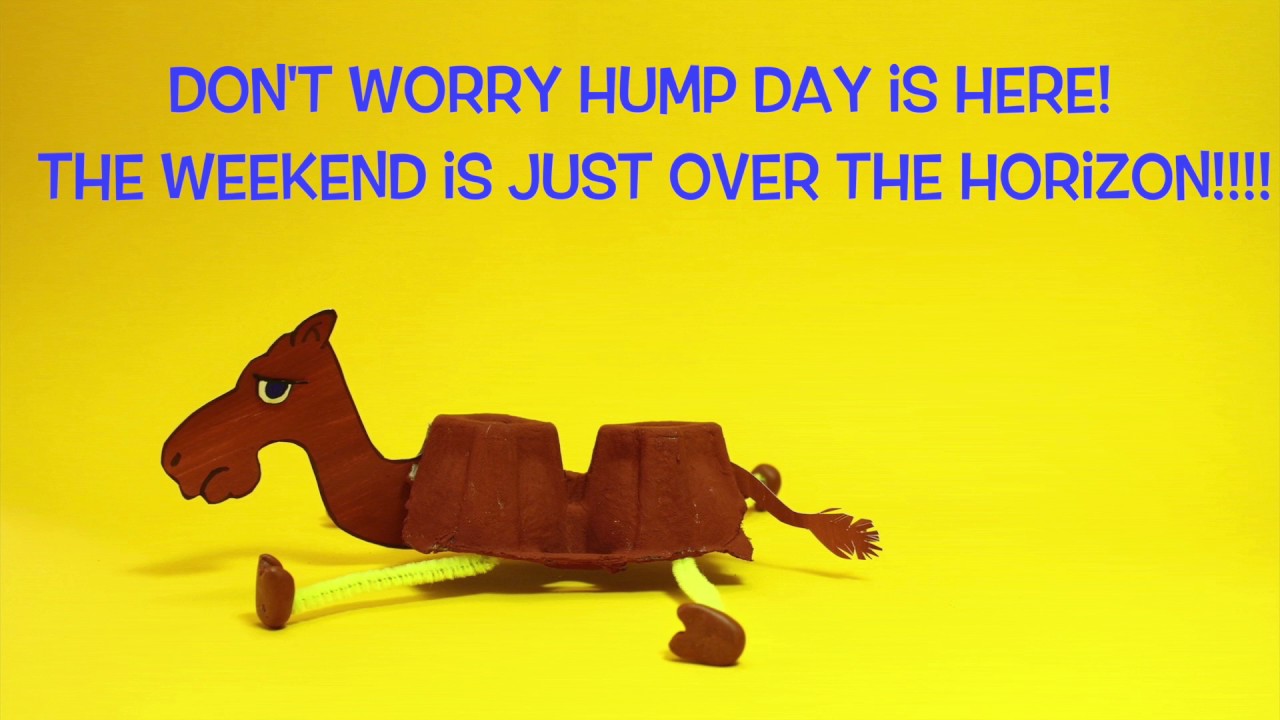 Don't Worry! Hump Day is here! The weekend is just over the horizon.