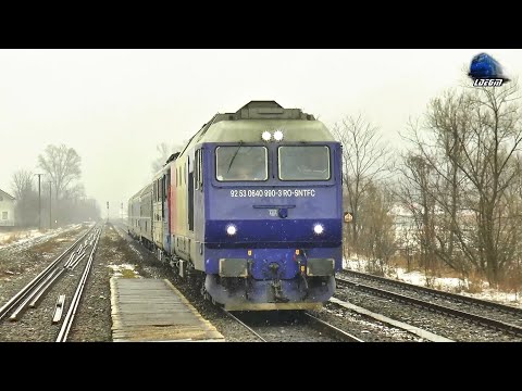 Jimmy Tricolor 64-0990-3 & Fluieroasa 60-1356-9 Whistle Loko in Gara Piatra Craiului Station