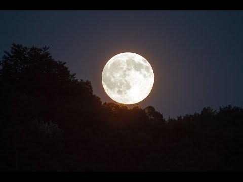 FULL MOON VIDEO HD | Free Stock Footage | Free HD Video - no copyright