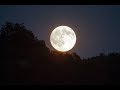 FULL MOON VIDEO HD Free Stock Footage Free HD Video No Copyright