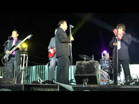 Grupo Miramar de Anselmo Cariño - A mi Oaxaca - Garzones, Acatlán Puebla 2015