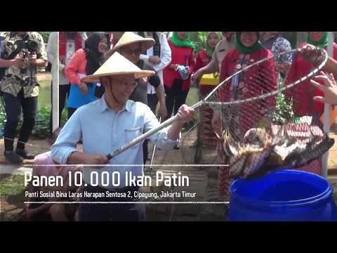 Obat tradisional meningkatkan potensi Penyakit yang mempengaruhi potensi pada pria