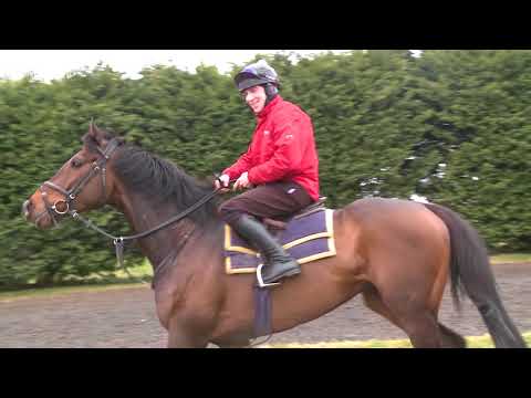 Randox Health Topham Chase: Double Treasure