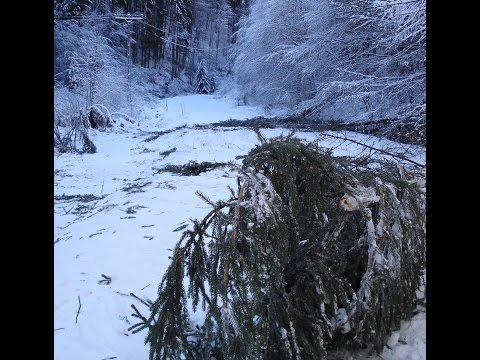 sat Dobra, judetul Hunedoara
