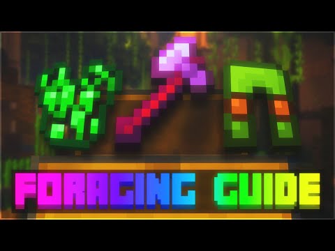 The ULTIMATE Foraging Guide | Hypixel Skyblock Guide