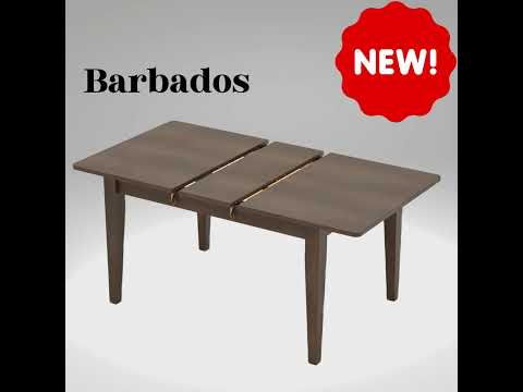 Bally 6 seater solid wood dining table by eros furniture