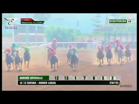 Live Hippodrome « El Jadida » | Courses du « 08/08/2018 »