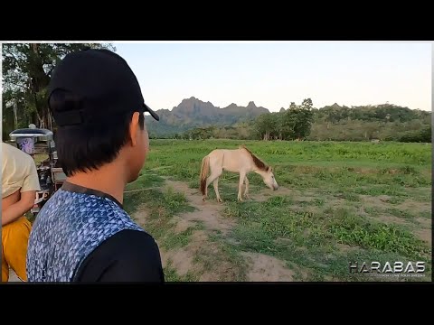 EP616-Part 2 - Mga Bagong Alaga ng Team Harabas | Occ. Mindoro