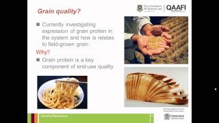 The Speed Breeding journey: from garbage bins to Bill Gates