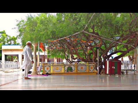 Dargah Sufi hamiduddin Nagori Rajasthan India.👑