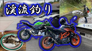 【Ninja250】紅葉見がてら渓流釣ーりんぐに行くぞ！【250DUKE】