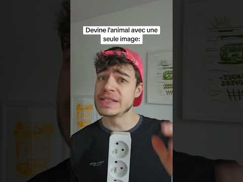 Peux-tu deviner l'animal ? 🤨