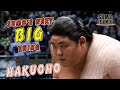 NEW SUMO STAR MAKES BIG IMPACT