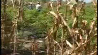 Basic Practices: Integrated Pest Management (IPM) Part 3