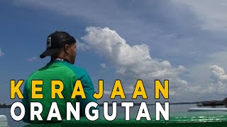 Download lagu Melihat kehidupan orangutan di habitatnya | JELAJAH mp3