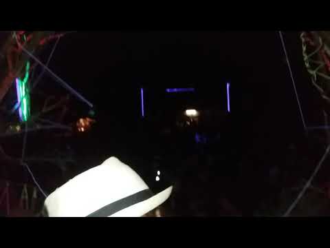 Urban Jungle Festival_2019_Portugal_ Psytuga Live Act