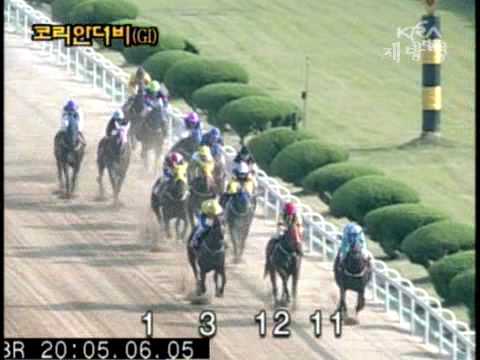 2005 Korean Derby (G1) - Saebyeok Dongja