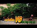 PARODI WIRO SABLENG SYUDAWIRAT ANGLING DHARMA