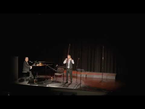 Samo simpatija - Ivo Šeparović & Jasenko Horvat