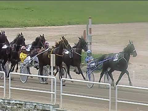 Trotto 06/06/2019 - 4ª corsa