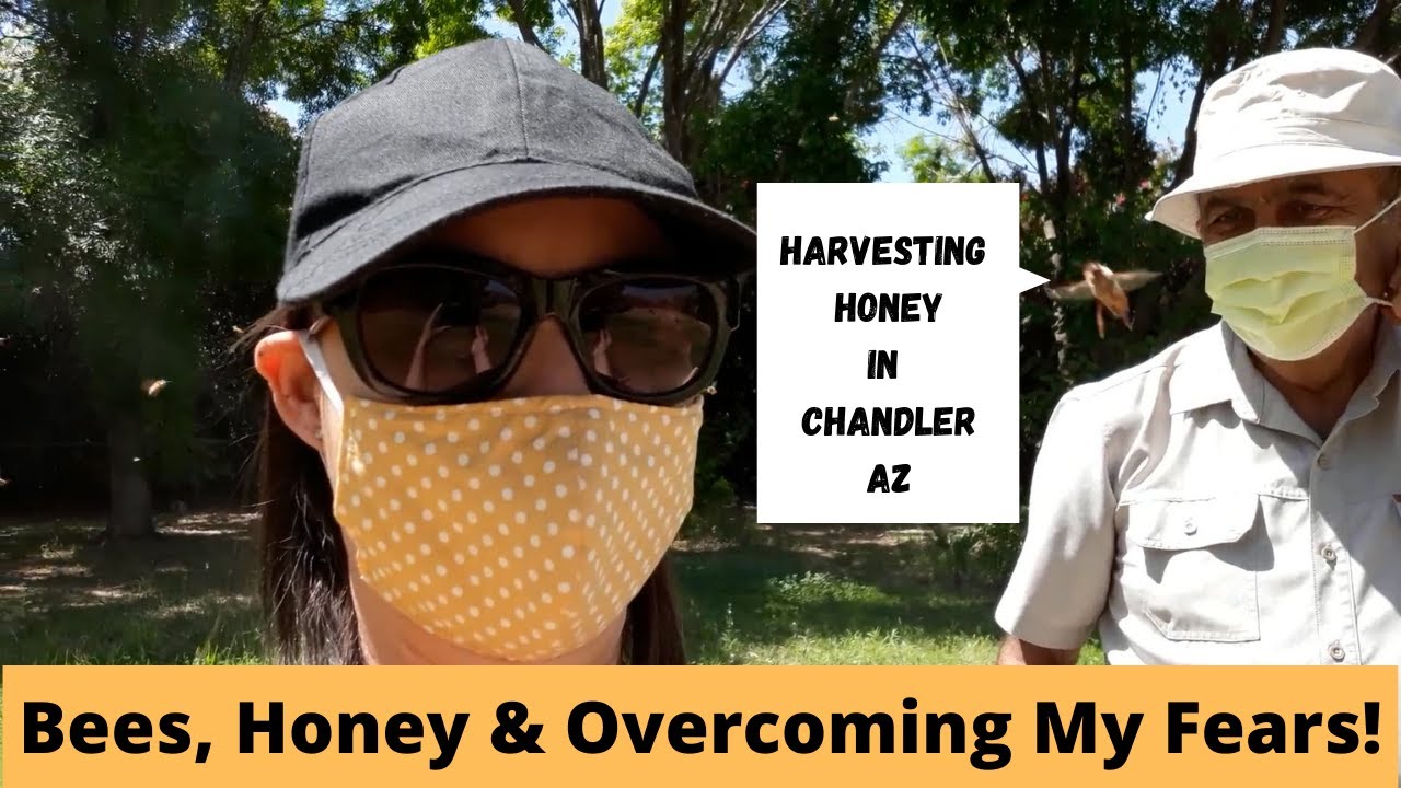 Bees, Honey And  Overcoming My Fears! Visiting The Apiary At Green Valley Farm #makinghoney #apiary