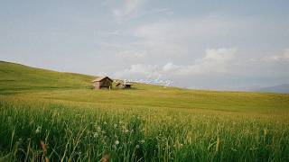 a playlist for reading while enjoying the calm of the sunlit garden