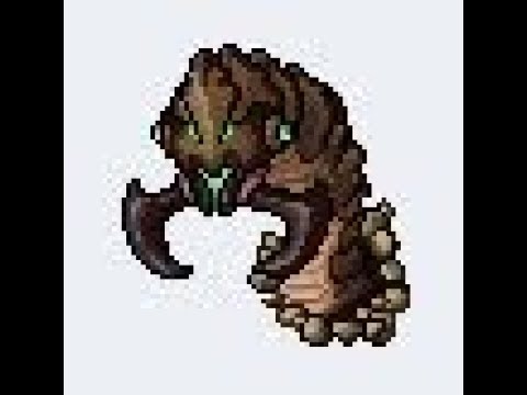 TIBIA :::::BOSS::::: SANDKING