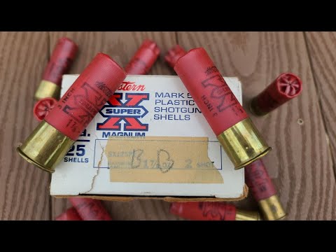 Pattern Testing My Grandfather's Geese Handloads From The 80s! 12 Gauge 3" 1 7/8oz Of Lead BB!