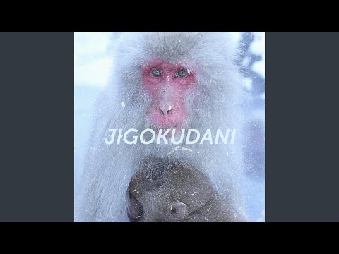 Jigokudani