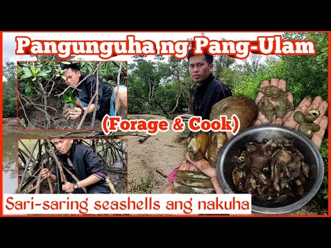 Pangunguha Ng Mga Seashells Para Pang-ulam|Forage and Cook|Sea Adventure Video 10