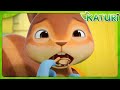 Katuri S5 Squirrel Katuri Musical Character Compilation