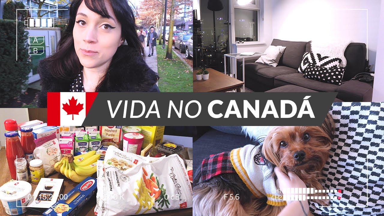 Mercado, adaptação, cachorro, conhecendo Vancouver e mais 🇨🇦| Vida no Canadá
