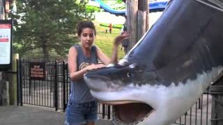 My Friends Are Nerds - Theme Park Edition