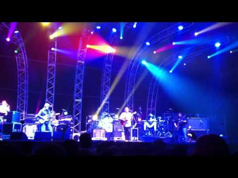 WSP @ Bonnaroo 2011 - TALL BOY!