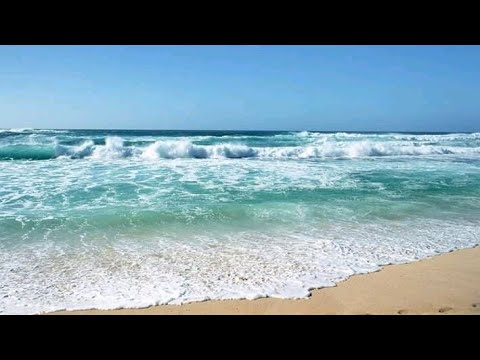 Cox's Bazar Samudra Saikat   25.12.2019 Maruf Tc