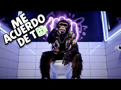 ME ACUERDO DE TI (EN EL BAÑO) ARIEL DE CUBA