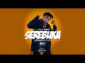 Dogo Janja - Serebuka (New Song 2018) Dogo Janja - Serebuka (New Song 2018)