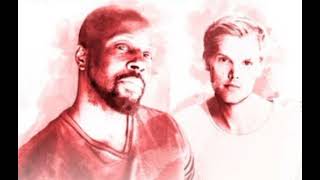 Wyclef Jean - Divine Sorrow (ft. Avicii) (Music Audio)