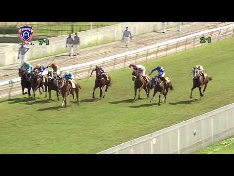 RM7 R1 | Gimme A Swinger | K.Chumun