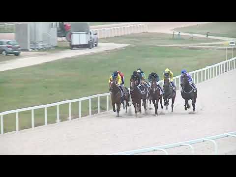 2022.11.27. 08. futam - ZBORAY LÁSZLÓ EMLÉKVERSENY - ÜRMÉNYI DÍJ (I.kat.)(szintetikus pálya)