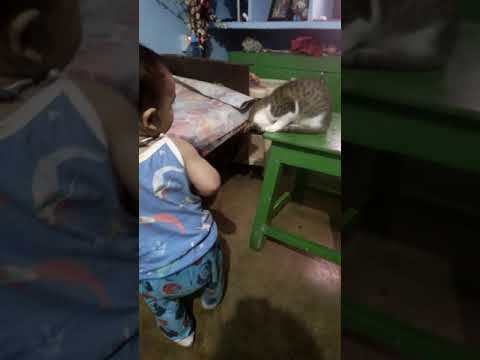 Sushree sangita swain