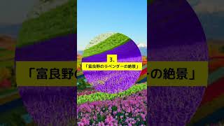 北海道 おすすめ旅行先１０選