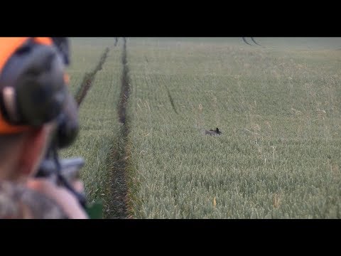 Weizenschweine 3.0 Trailer - Hunter Brothers