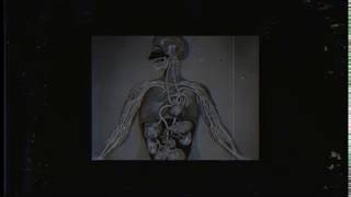 Chain Gang Of 1974 - Burn Out (Official Video)