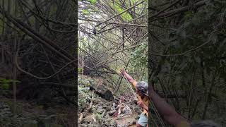 Download lagu oorang ini sangat pandai kalau ketapel burung dipohon😱 #shortsvideo #burung#shorts mp3