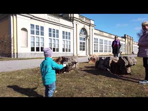 L&T Ulriksdals trädgård