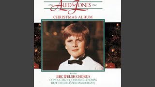 Jesus Christ The Apple Tree