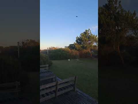 Rocha, Uruguay glad to see the heat finally broke with a return to mid 20s high teens over night