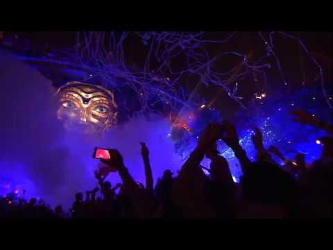 Hardwell -Tiësto Adagio For Strings vs Moti Lion Live at Tomorrowland 2014 FULL HD 2